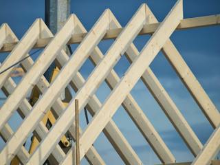 Dachrahmen Skelett Holz